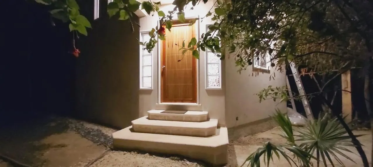 New! Casa Xola Cenote And Fauna Loft Cozumel