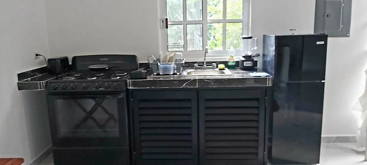 New! Casa Xola Cenote And Fauna Loft Cozumel 0*,