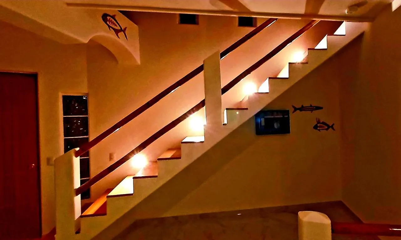 New! Casa Xola Cenote And Fauna Loft Cozumel