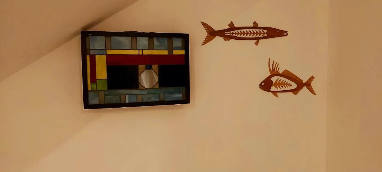 New! Casa Xola Cenote And Fauna Loft Cozumel