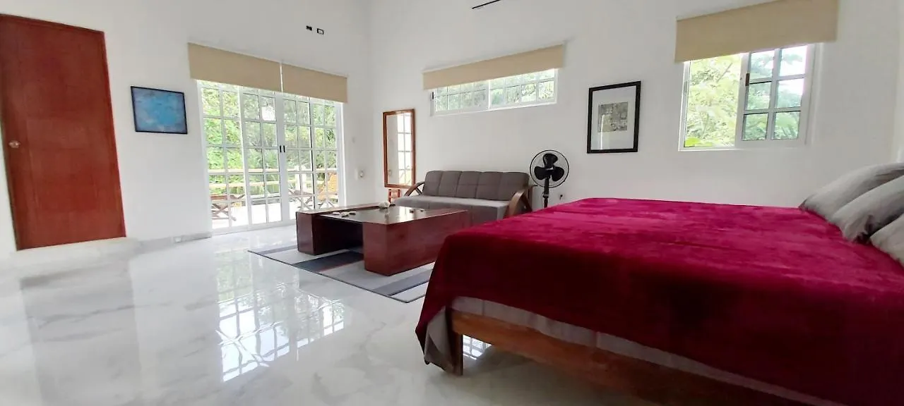 New! Casa Xola Cenote And Fauna Loft Cozumel Villa