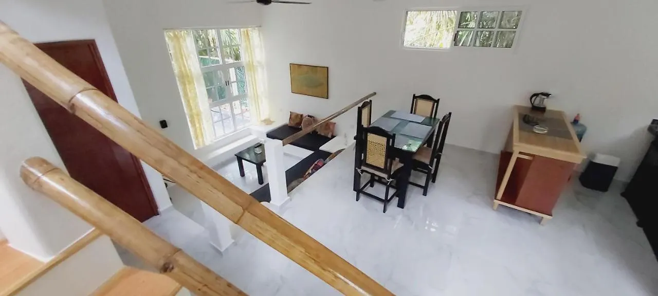 New! Casa Xola Cenote And Fauna Loft Cozumel Villa