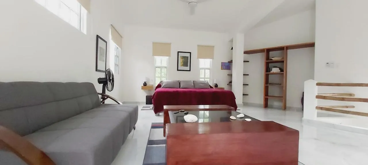 New! Casa Xola Cenote And Fauna Loft Cozumel