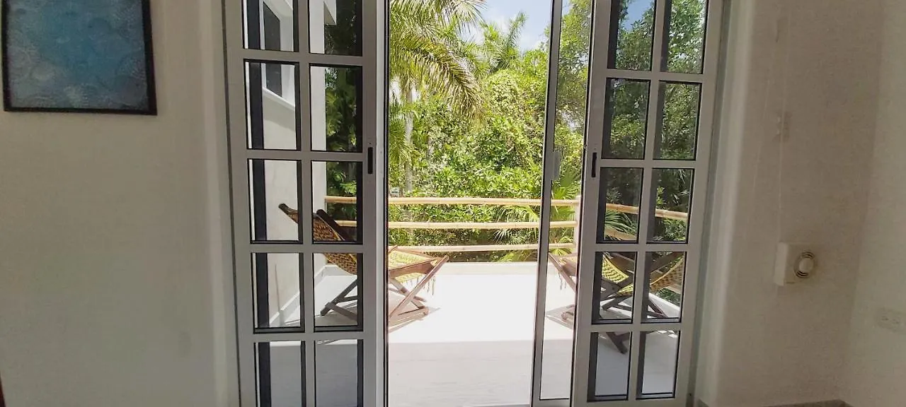 Villa New! Casa Xola Cenote And Fauna Loft Cozumel