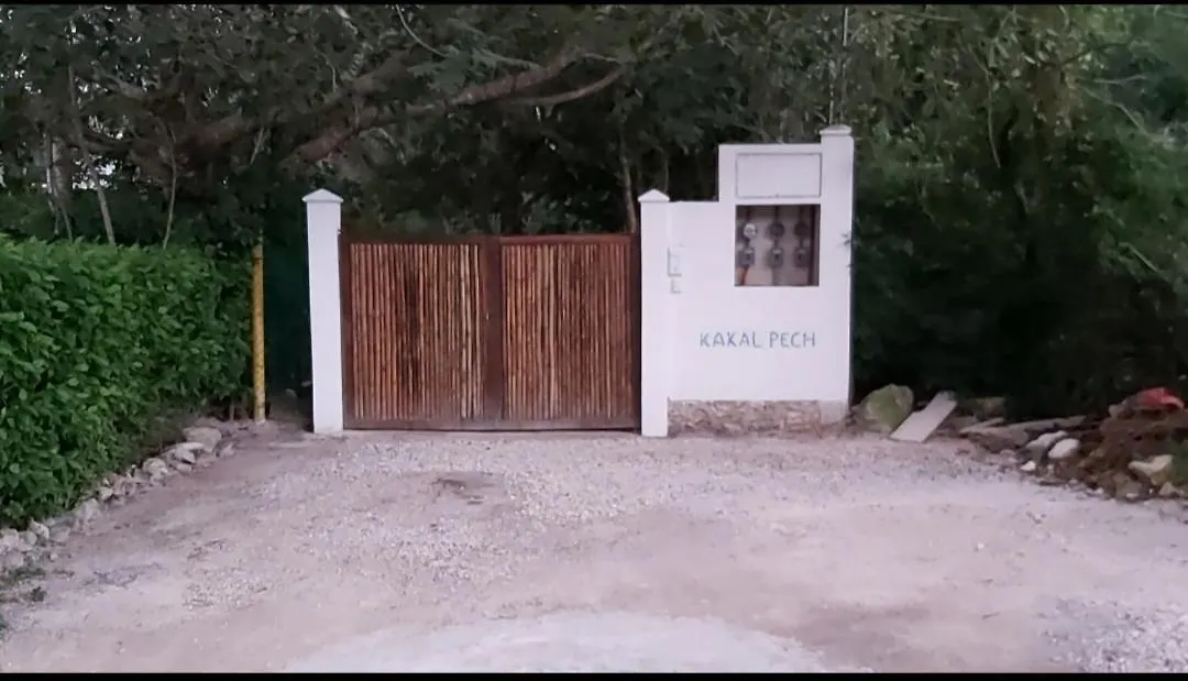 Villa New! Casa Xola Cenote And Fauna Loft Cozumel