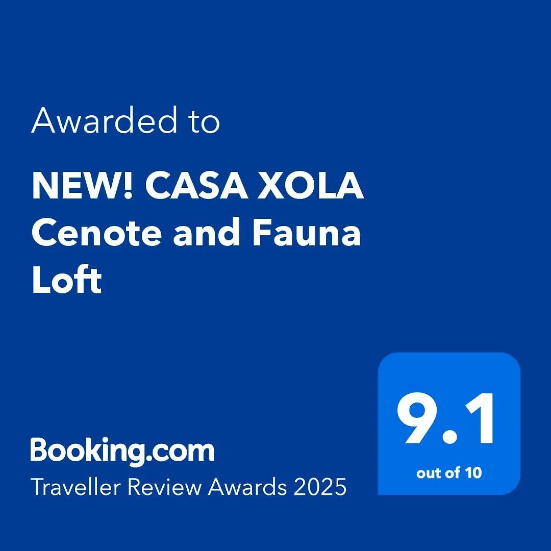 Villa New! Casa Xola Cenote And Fauna Loft Cozumel México